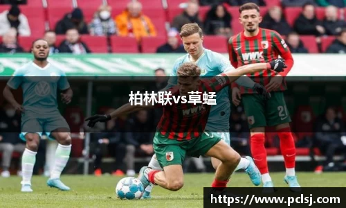 柏林联vs草蜢